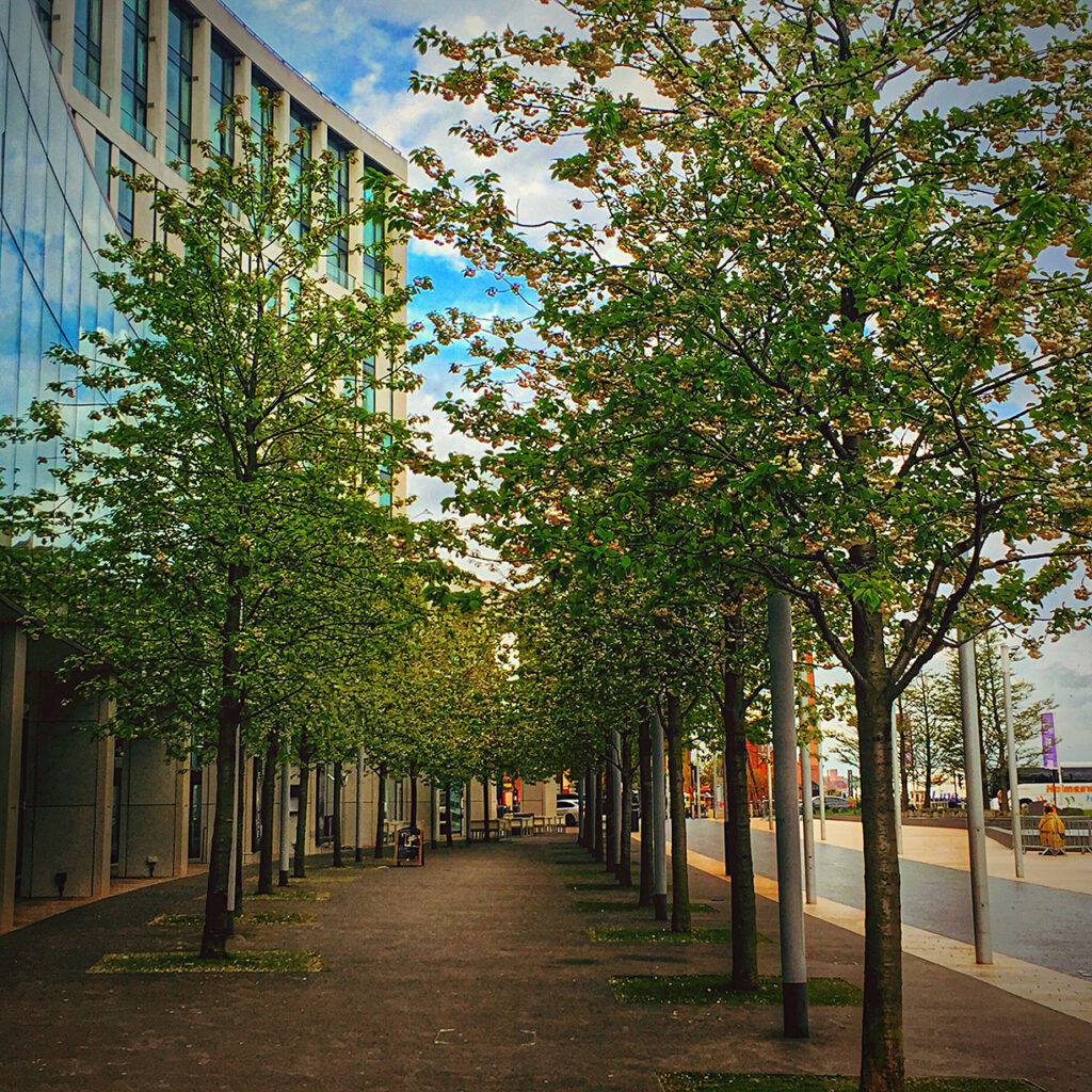 The tree register: One dataset for all trees - Merkator Group